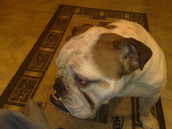 Tyson