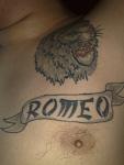 Moj tatoo